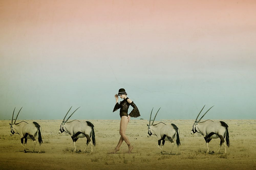 Africa Iv art print by Christine Von Diepenbroek for $57.95 CAD