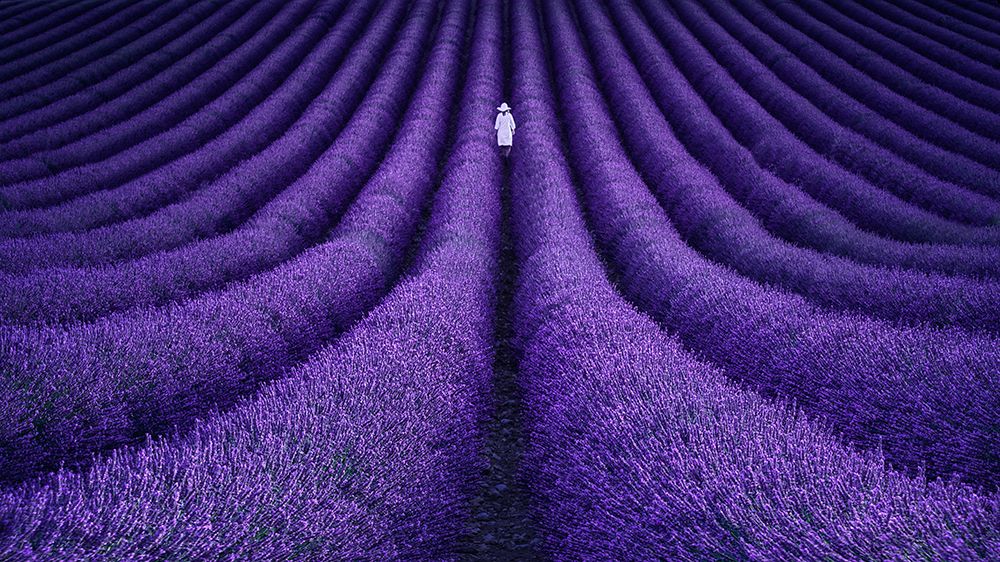 She art print by Lluis De Haro for $57.95 CAD