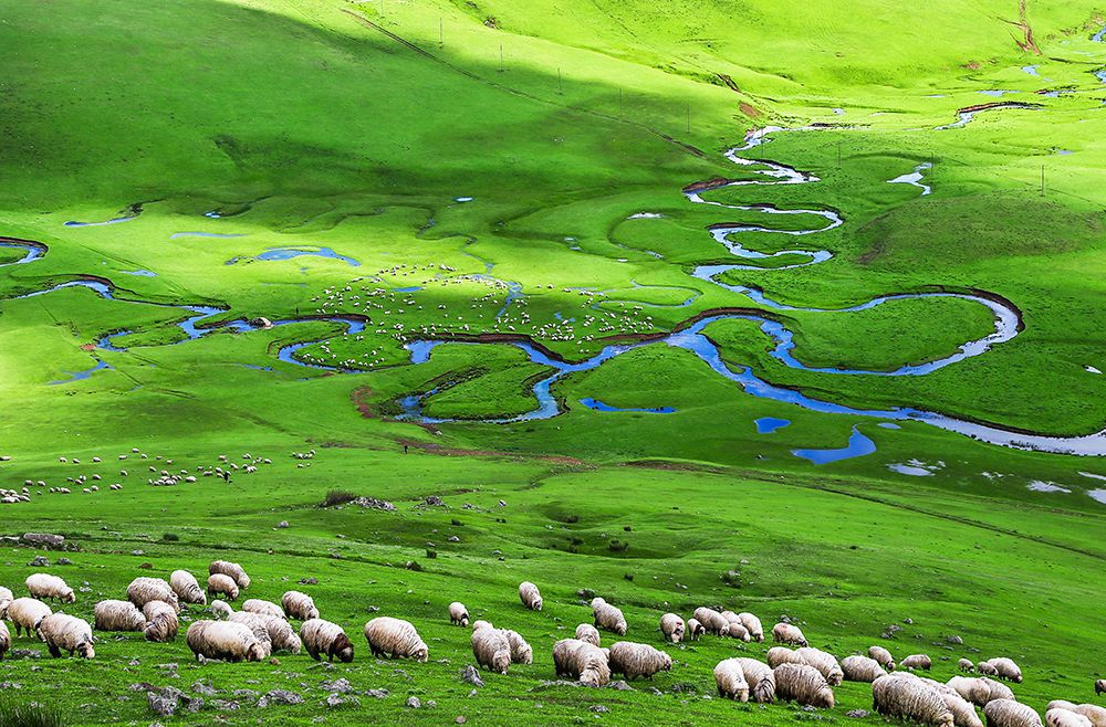 Plateau art print by Suleyman Uzumcu for $57.95 CAD