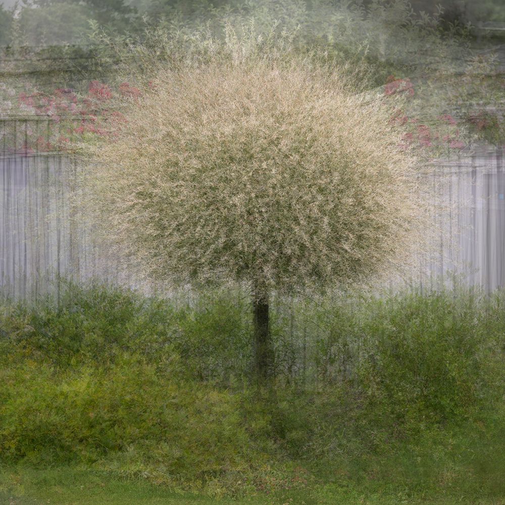 In Front Of The Fence art print by Katarina Holmstrom for $57.95 CAD
