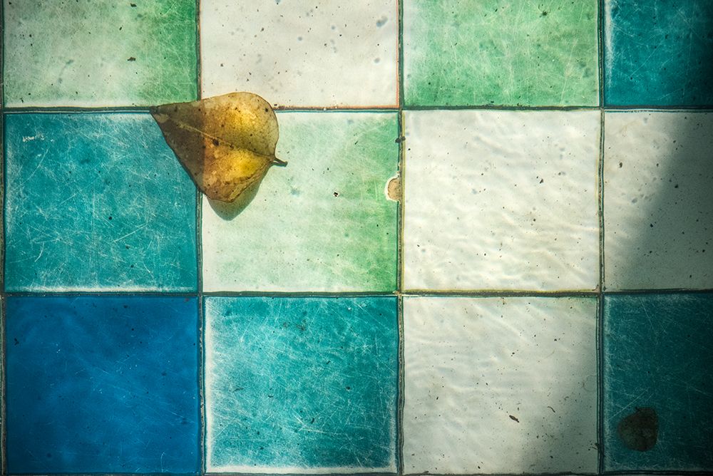 Still life...at the bottom of a pond art print by Linda Wride for $57.95 CAD