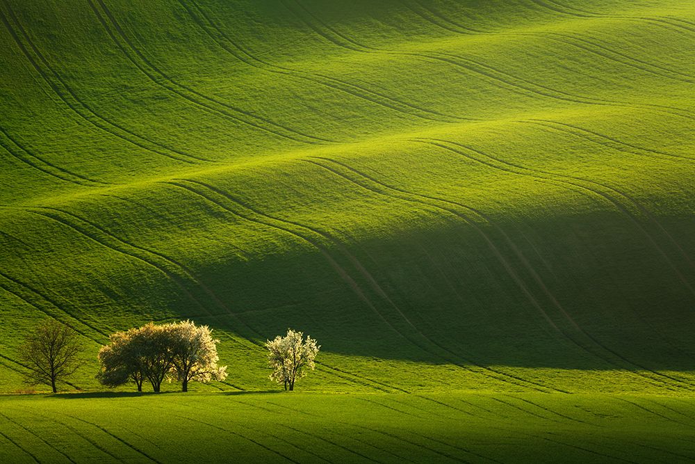 Moravian waves art print by Daniel Rericha for $57.95 CAD