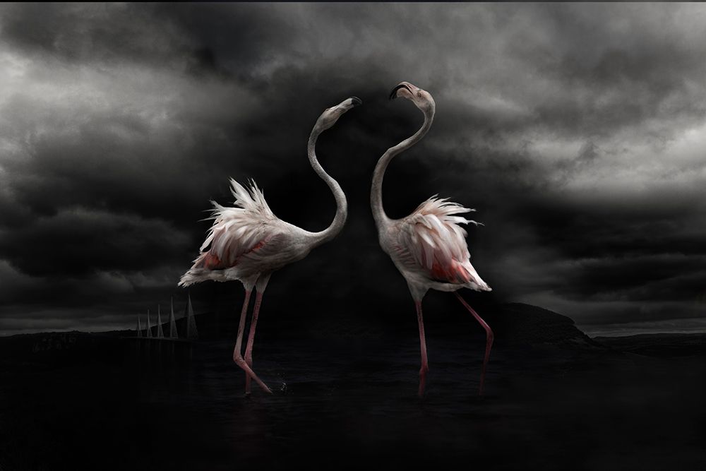 Strong Temperament art print by Martine Benezech for $57.95 CAD
