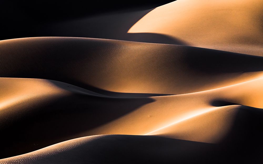 Wave art print by Mohammadreza Momeni for $57.95 CAD