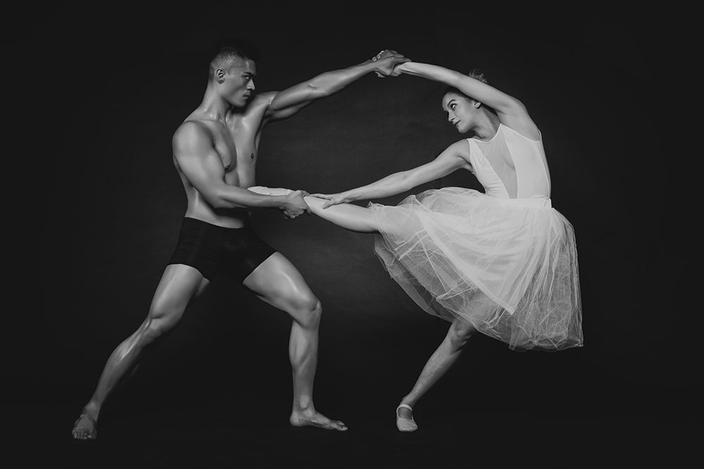 Dance Duet (1) art print by James Yang for $57.95 CAD