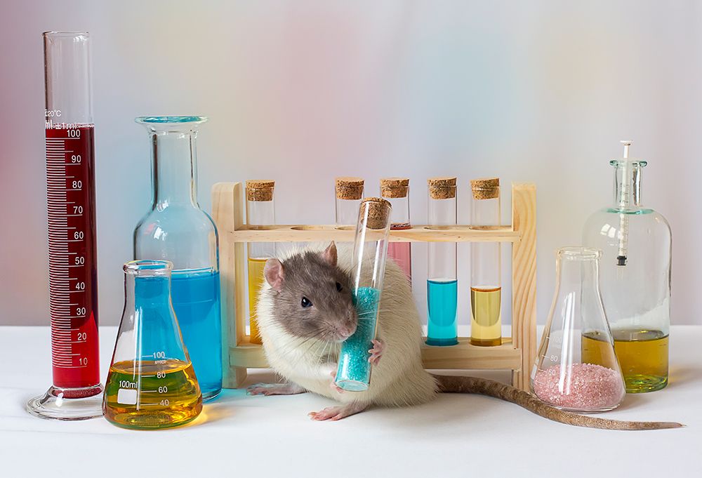Qworkingq At The Lab art print by Ellen Van Deelen for $57.95 CAD