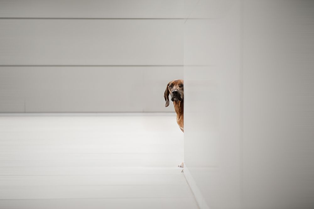 Minimalismus art print by Heike Willers for $57.95 CAD