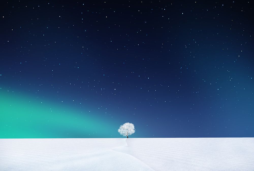 Winter Tree art print by Bess Hamiti for $57.95 CAD