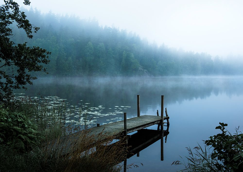 Moody morning art print by Christian Lindsten for $57.95 CAD