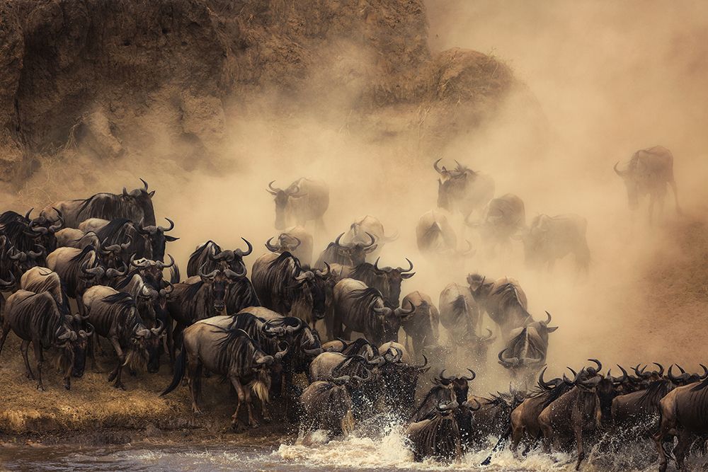 The Crossing art print by Waheed Alfazari for $57.95 CAD