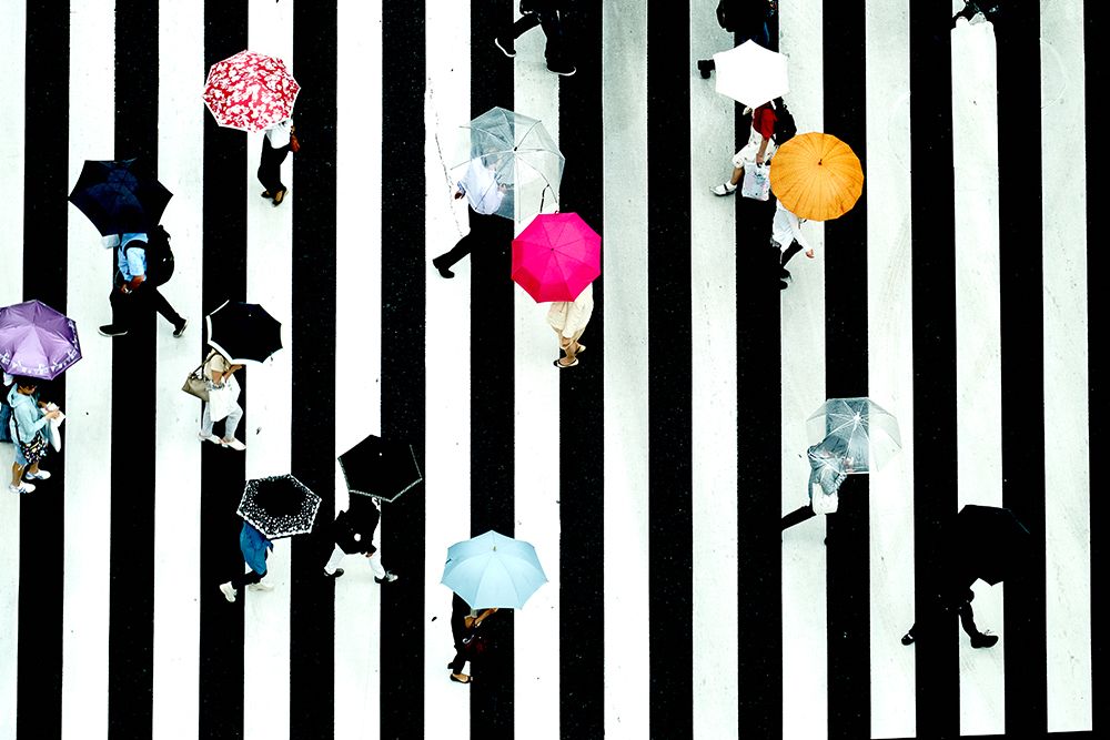 Crossing art print by Makoto Nishikura for $57.95 CAD
