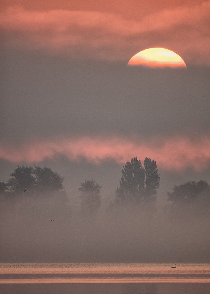 Sun Iii art print by Heinz Hieke for $57.95 CAD