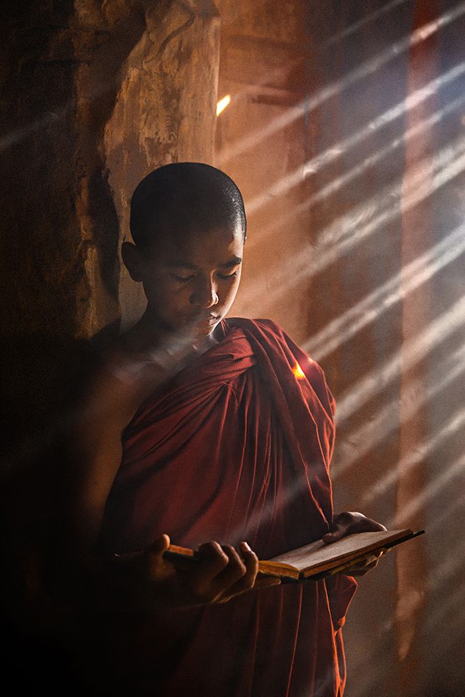 Novice art print by Amnon Eichelberg for $57.95 CAD