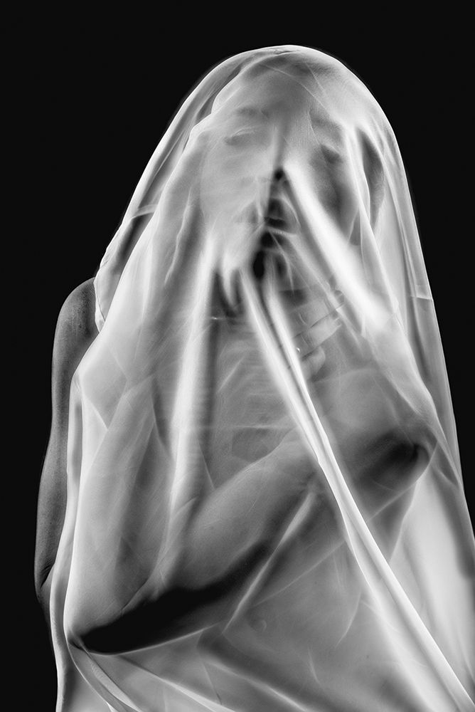 Life Behind The Veil art print by Colin Dixon for $57.95 CAD