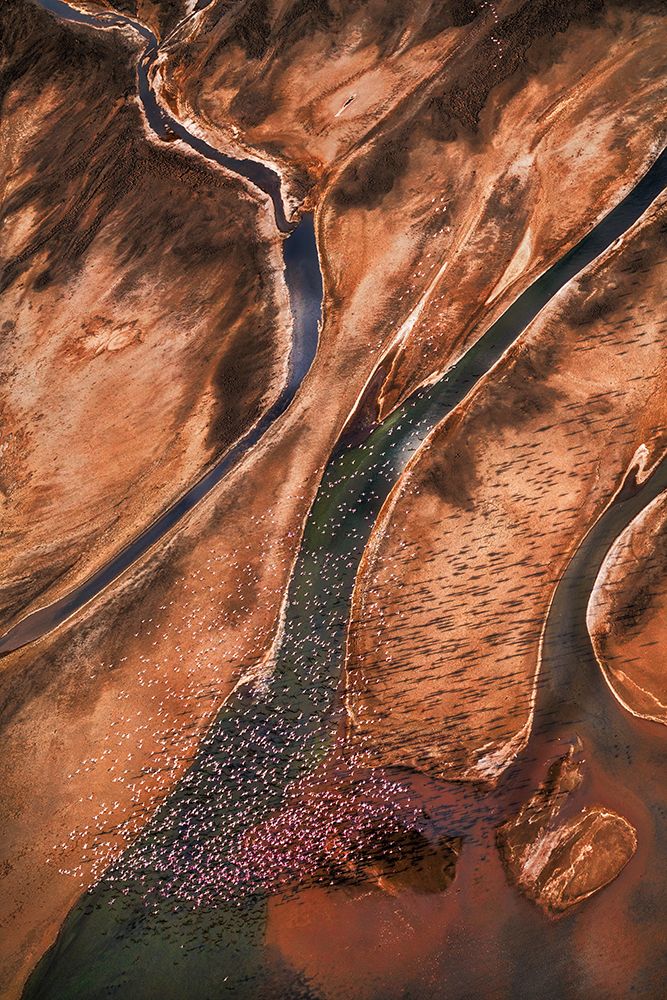 Flying Over Palette art print by John Fan for $57.95 CAD