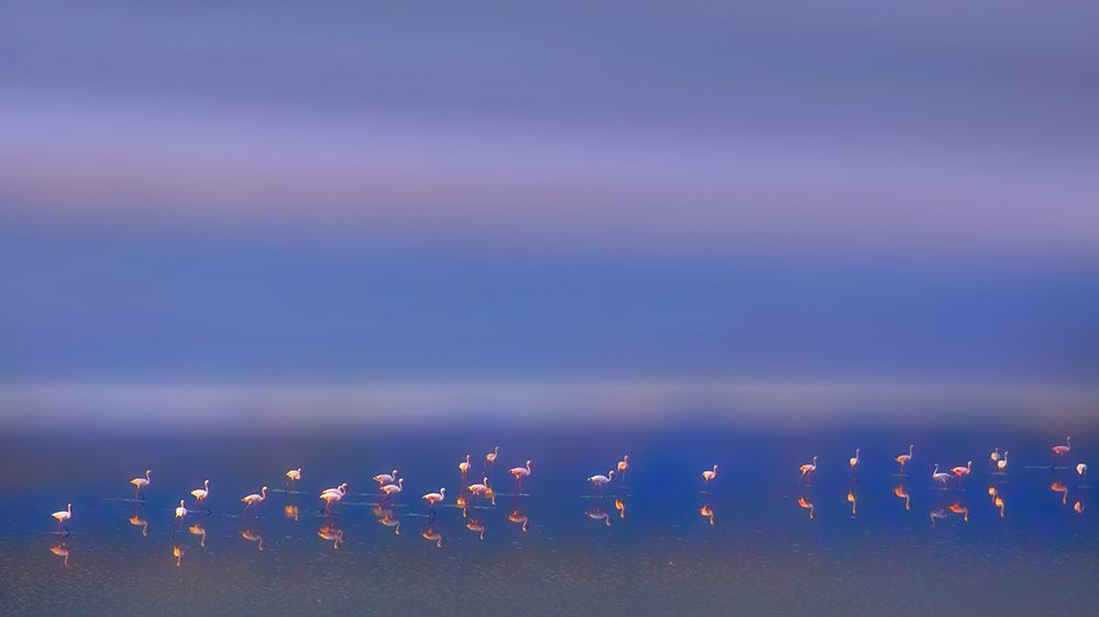 Early Morning art print by Phillip Chang for $57.95 CAD