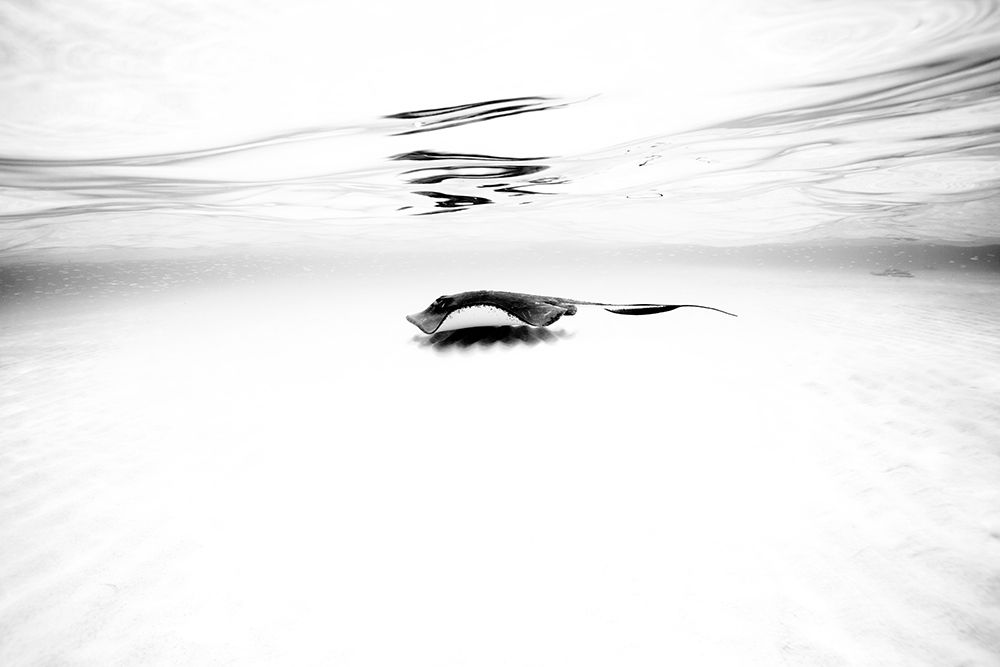 Sandbar Series I art print by Natalia Martin De for $57.95 CAD