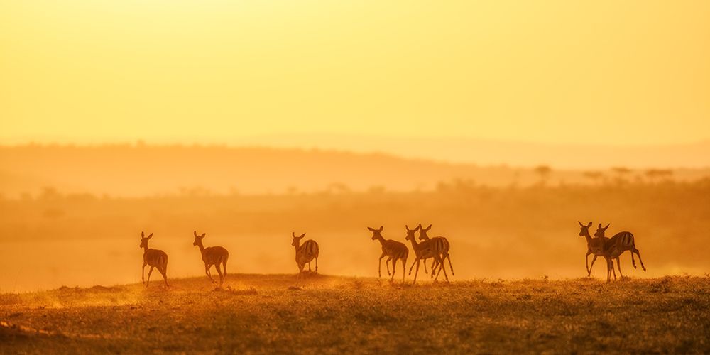 Towards Sunset art print by John Fan for $57.95 CAD