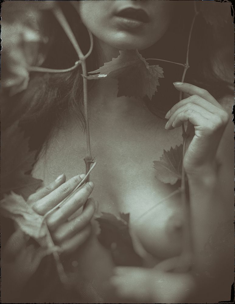 Leaves From The Vine art print by Jacob Tuinenga for $57.95 CAD