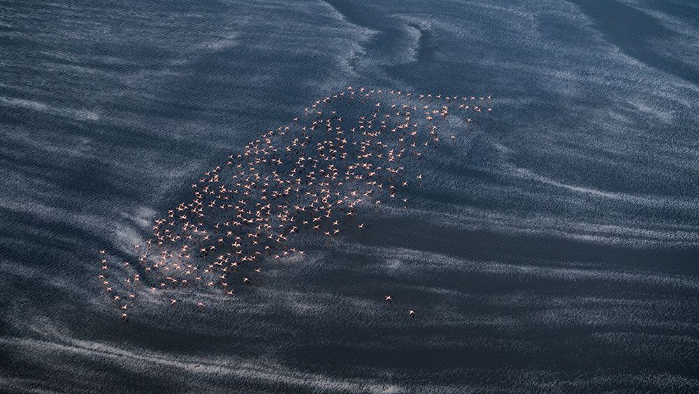 Wave Runner Ii art print by John Fan for $57.95 CAD