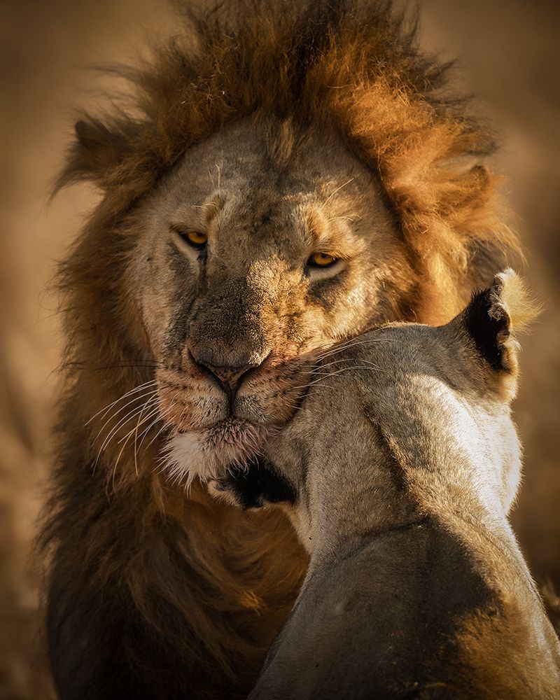 Give Me Some Love art print by Faisal Alnomas for $57.95 CAD
