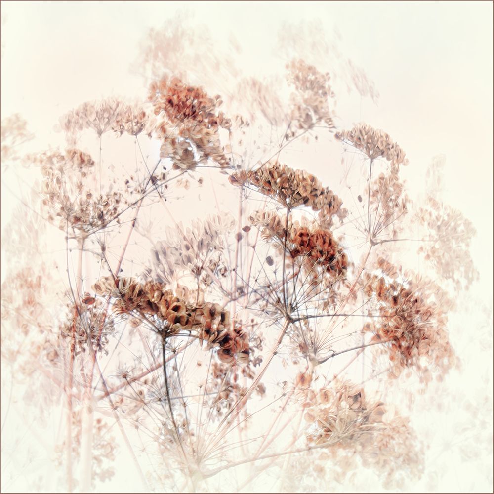chorus frivola art print by Gilbert Claes for $57.95 CAD