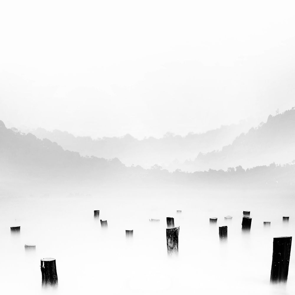 Jow art print by Bonifasius Wahyu Adi for $57.95 CAD
