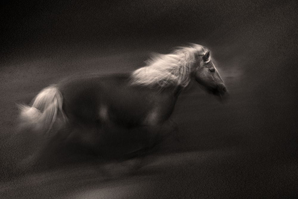 Wind And Earth Power art print by Martine Benezech for $57.95 CAD