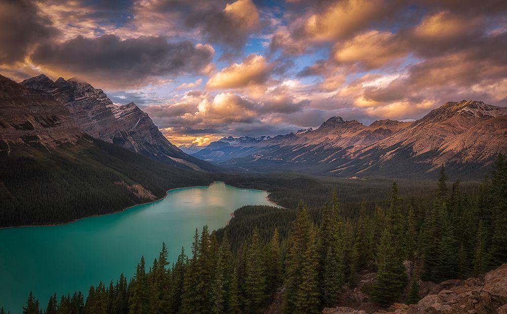 Peyto Lake At Dusk art print by Michael Zheng for $57.95 CAD