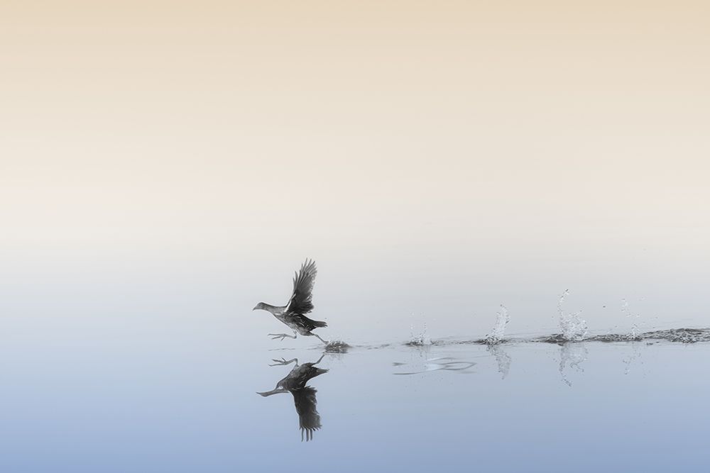 Untitled art print by Keren Or for $57.95 CAD