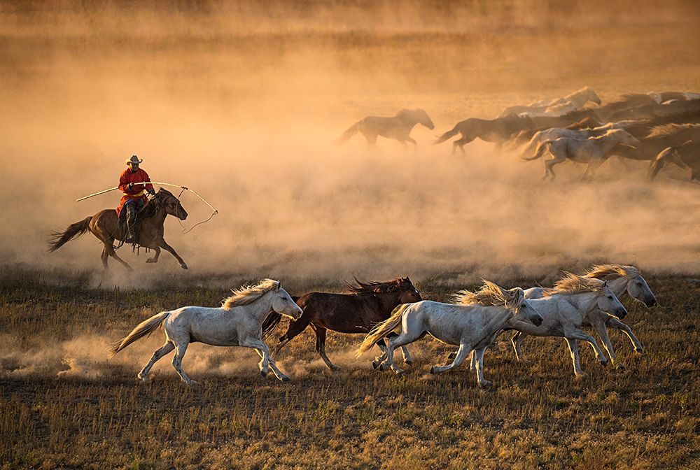 Mongolia Horses art print by Libby Zhang for $57.95 CAD