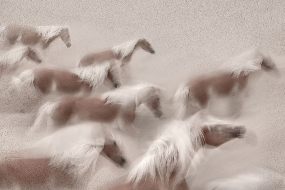 The foam of the wave art print by Martine Benezech for $57.95 CAD