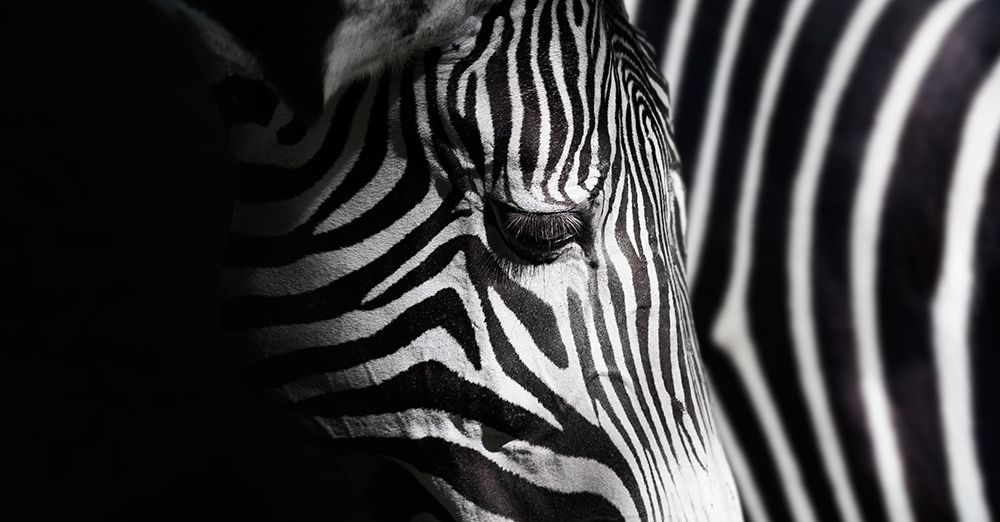 Overlap Of Stripes art print by Takashi Suzuki for $57.95 CAD