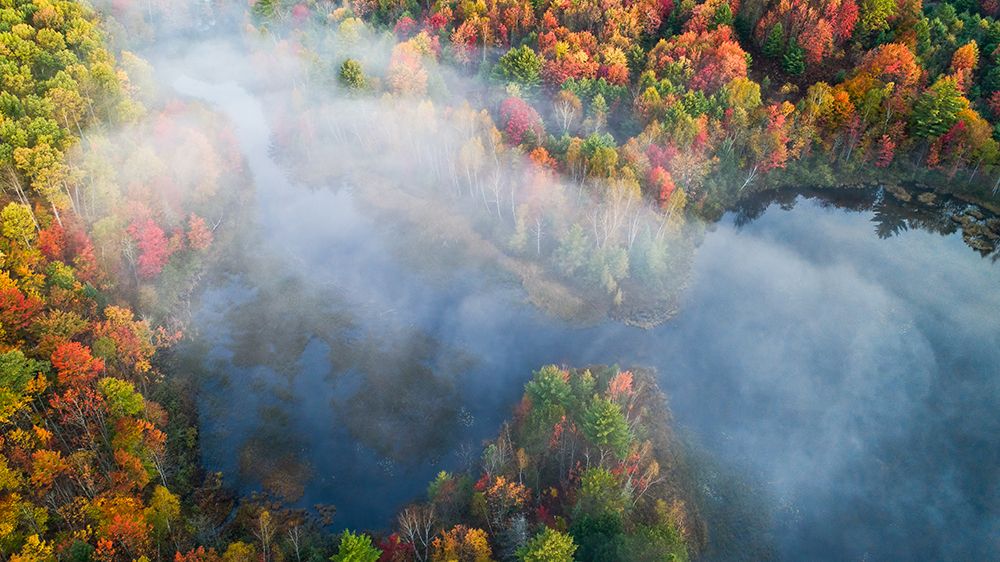 Autumn Symphony I art print by John Fan for $57.95 CAD