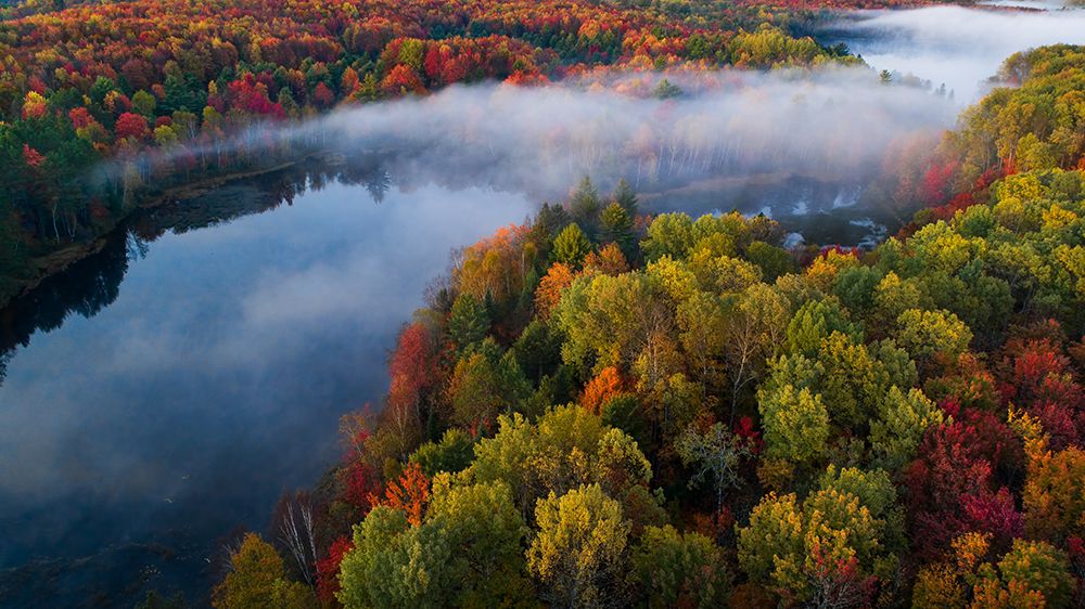 Autumn Symphony Ii art print by John Fan for $57.95 CAD