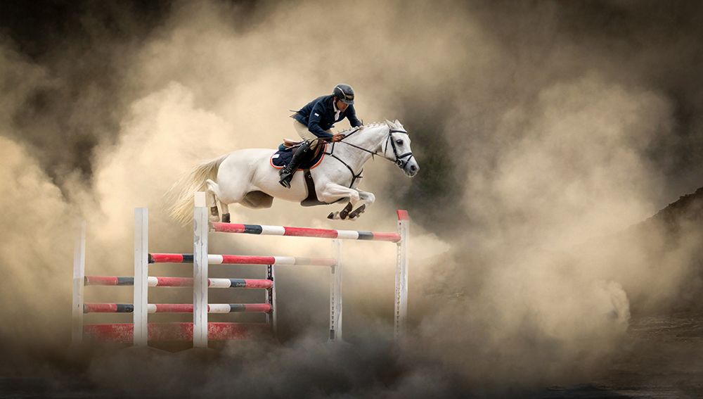 White Horse art print by Arif Unsal for $57.95 CAD