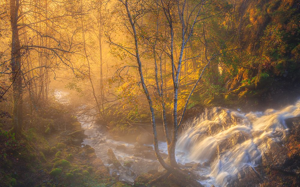 First Light art print by Rune Askeland for $57.95 CAD