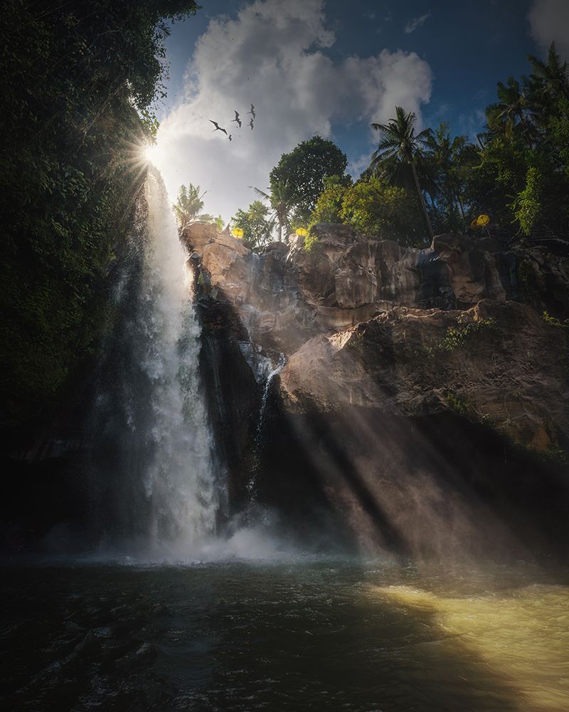 Blangsinga art print by Juan Pablo De for $57.95 CAD
