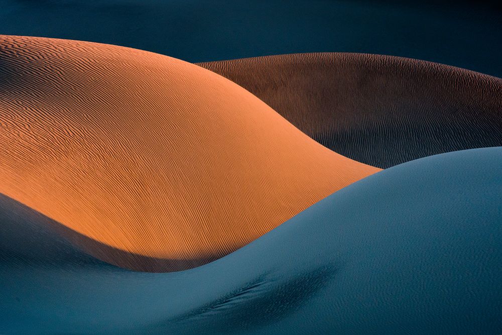 The Curves art print by Ali Asghar Alimoradi for $57.95 CAD