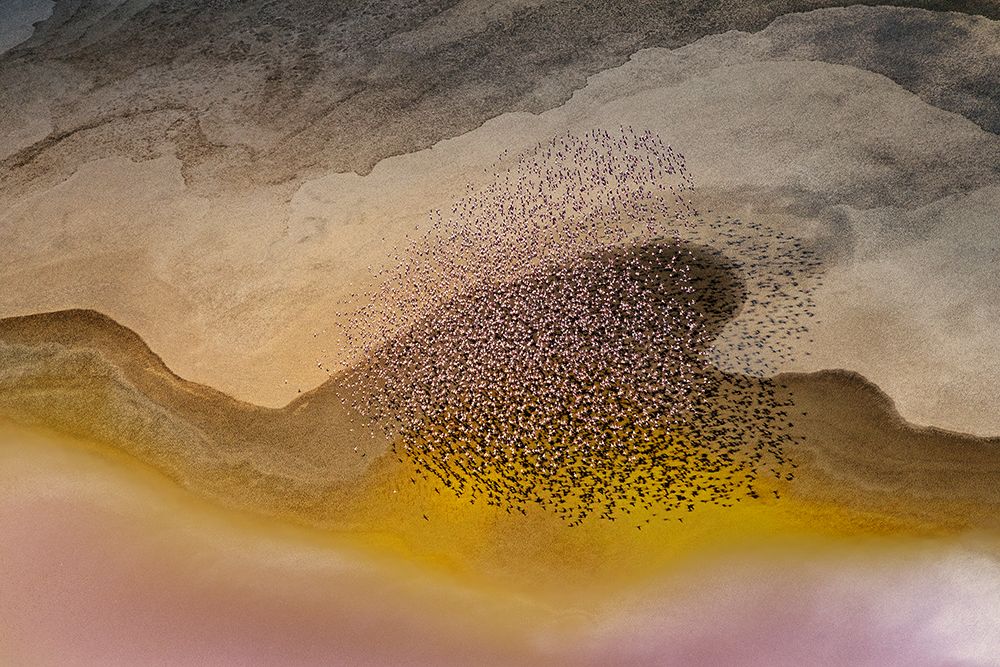 Crossing Natron Lake art print by Phillip Chang for $57.95 CAD