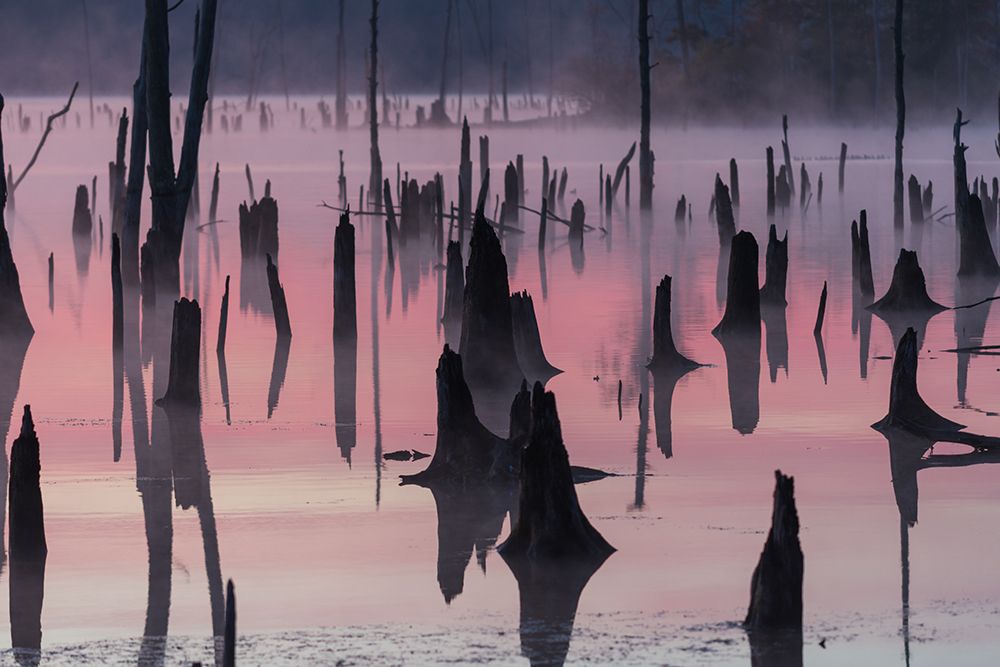 Lake @ Morning art print by Austin for $57.95 CAD