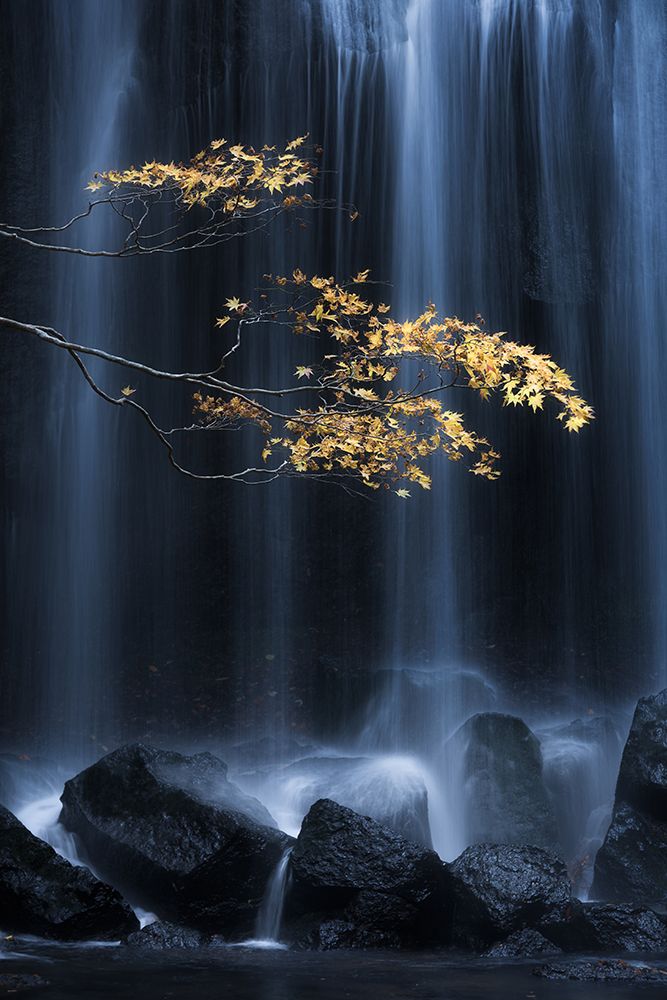Yellow Autumn art print by Yuki Yatsushima for $57.95 CAD