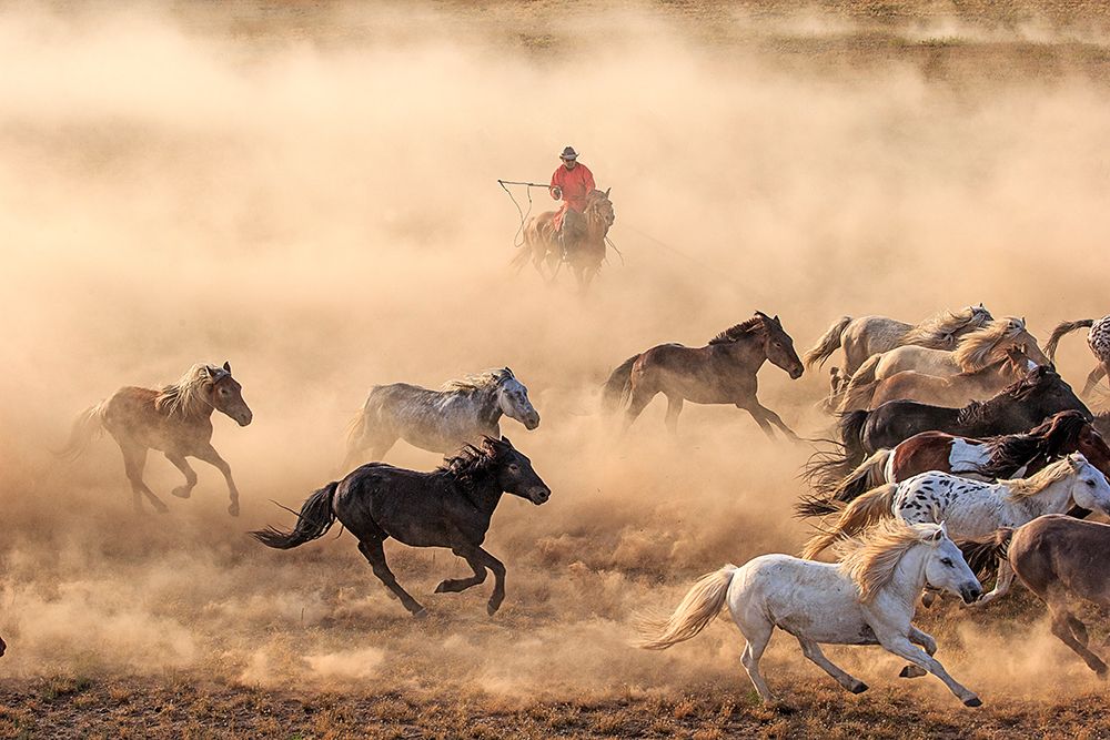 Horse Run art print by Adam Wong for $57.95 CAD