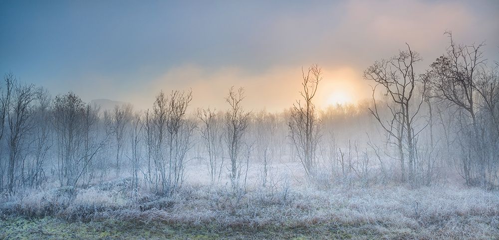 A Touch Of Winter art print by Burger Jochen for $57.95 CAD