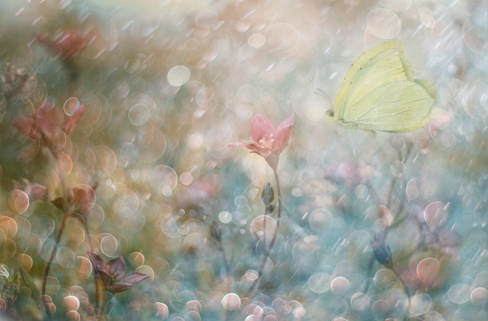 Uninterrupted Poetry... art print by Delphine Devos for $57.95 CAD