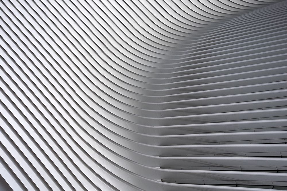 Calatrava Curves # 2 art print by Linda Wride for $57.95 CAD
