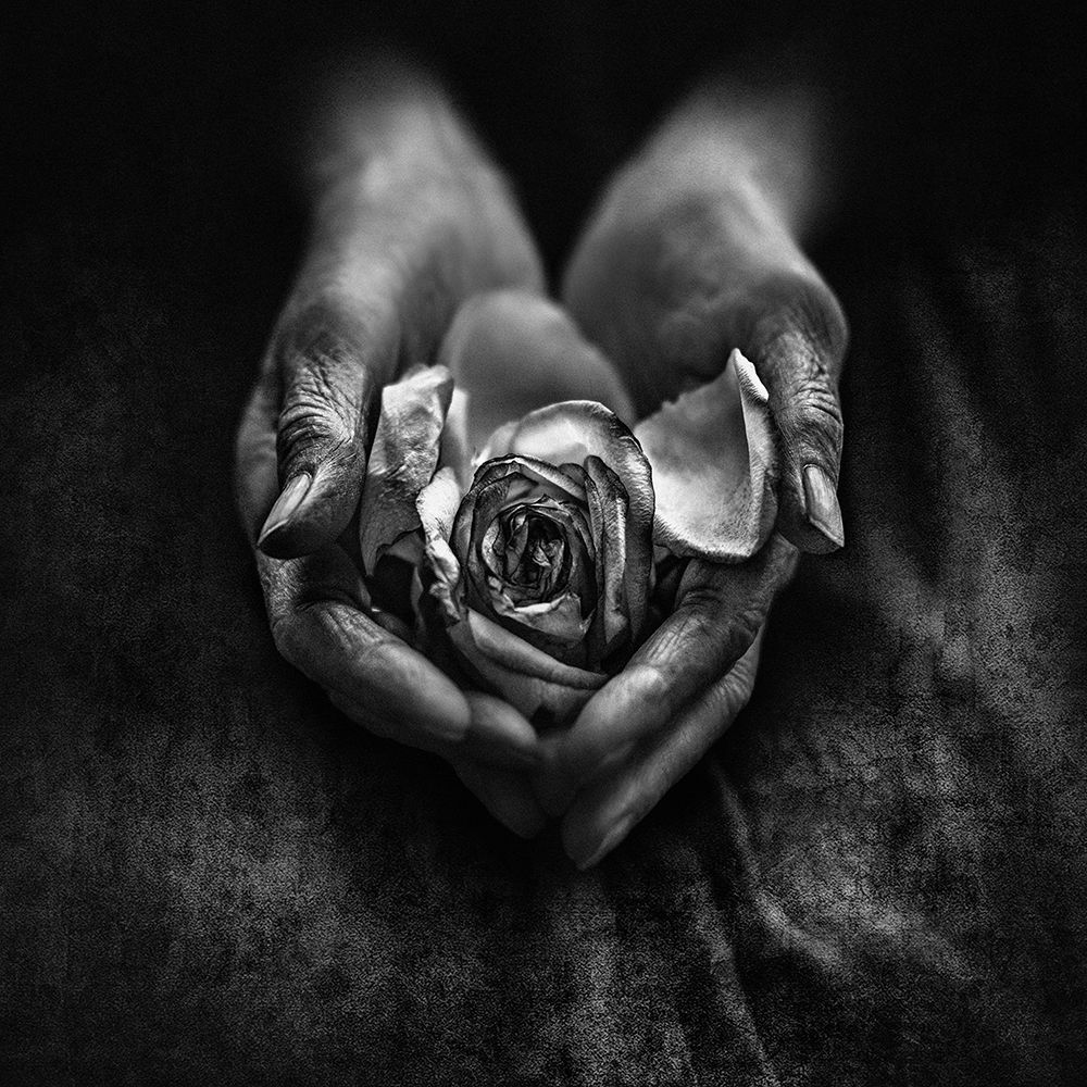 Caring Hands art print by Nima Zadshir for $57.95 CAD