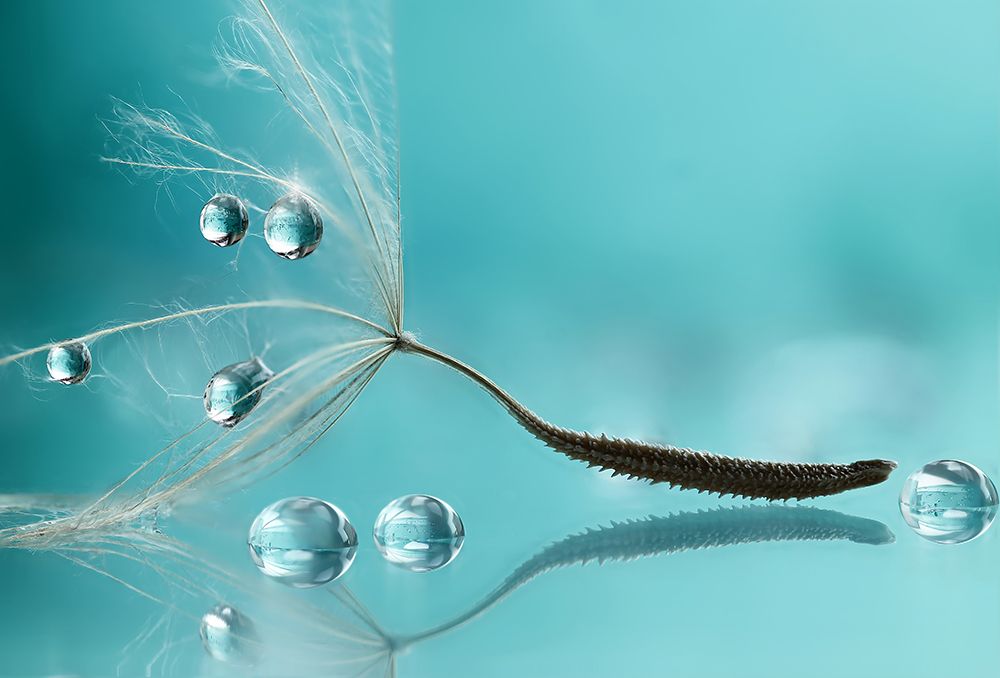 Water art print by Rina Barbieri for $57.95 CAD