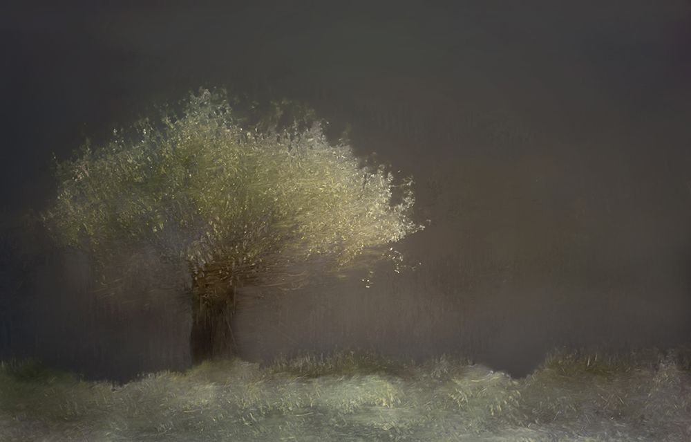 Willow art print by Nel Talen for $57.95 CAD