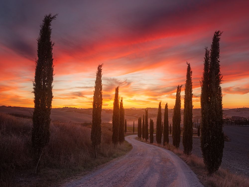 Tuscany Sunset art print by Rostovskiy Anton for $57.95 CAD